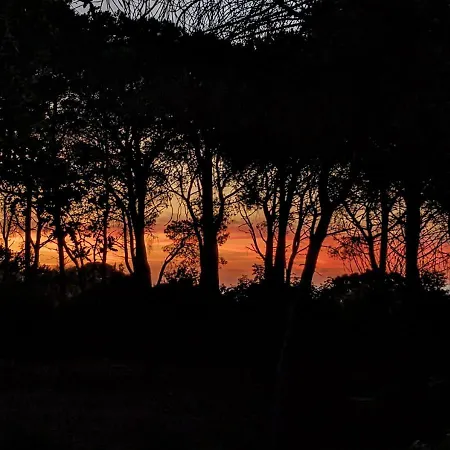 Villa Seawoods - Nature Experience *