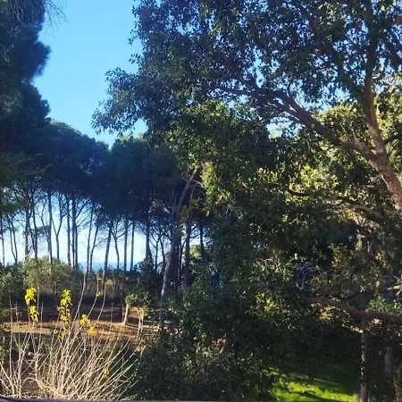 Villa Seawoods - Nature Experience Cefalu