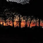 Βίλα Seawoods - Nature Experience *
