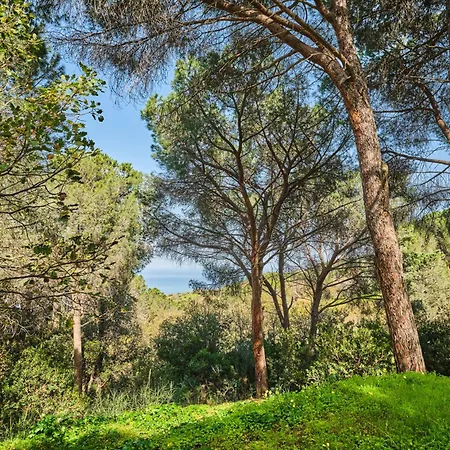 Βίλα Seawoods - Nature Experience Cefalù
