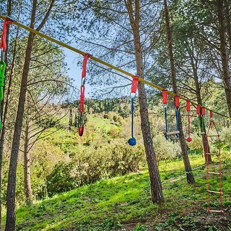 Seawoods - Nature Experience