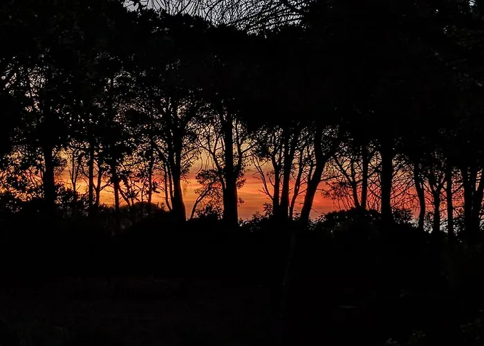 Villa Seawoods - Nature Experience *