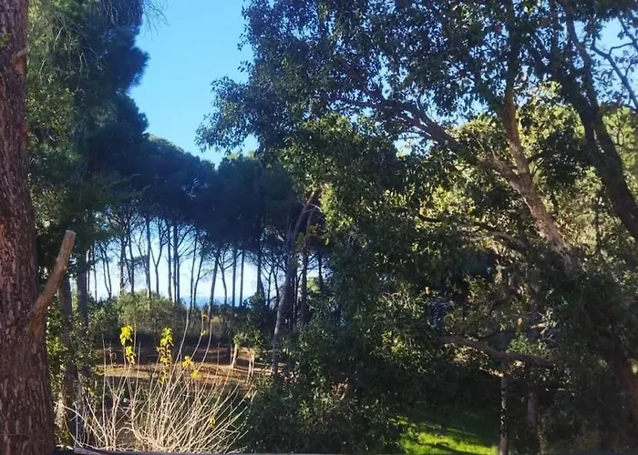 Villa Seawoods - Nature Experience Cefalu