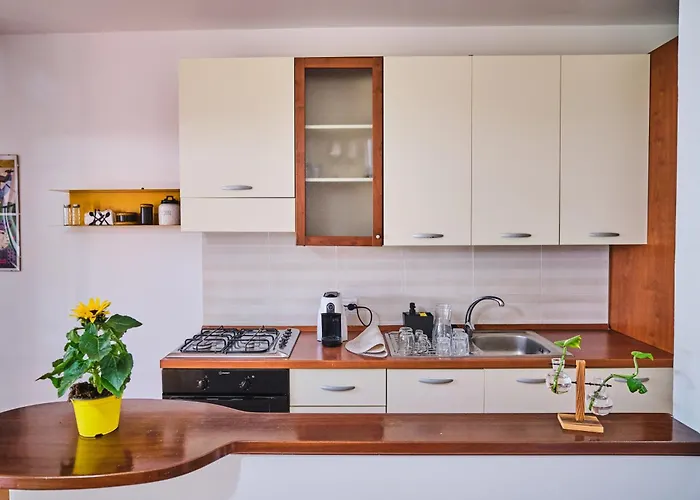 Seawoods - Nature Experience *