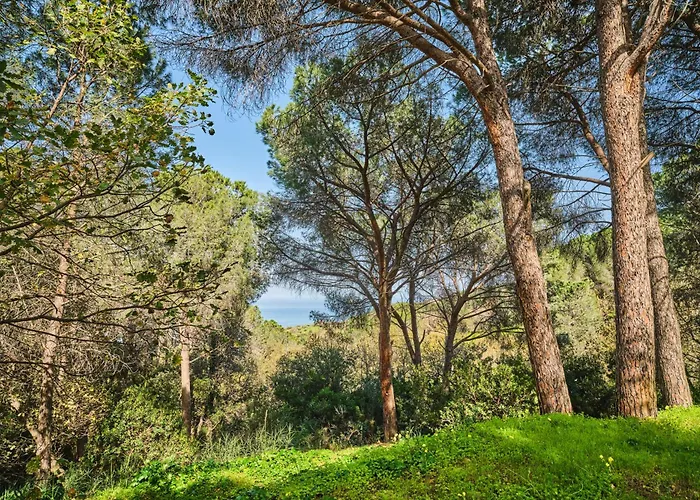 Villa Seawoods - Nature Experience Cefalu